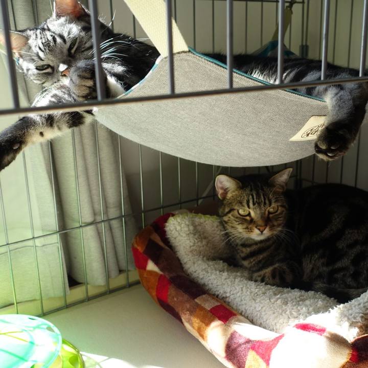 7b5b731e 3e4f 4fd4 b36b 6957493030ca 1639635054193