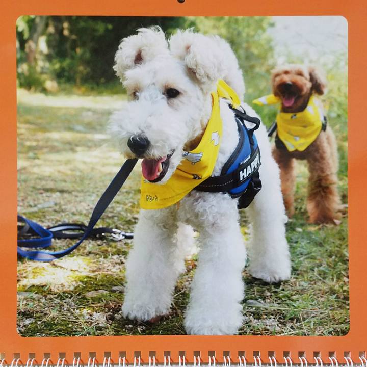 7b5b7c6e 2b5d 42a1 a6f1 2d4cf9290b25 1519858020559