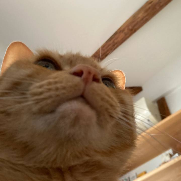 7b5bd1cc 3921 4efc b676 bba13bf0c598 1650066045041