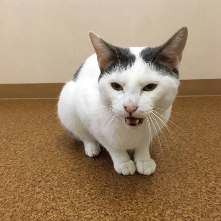 7b5bd34b 4144 44db bd3e 81235d0c06d0 1540889286950