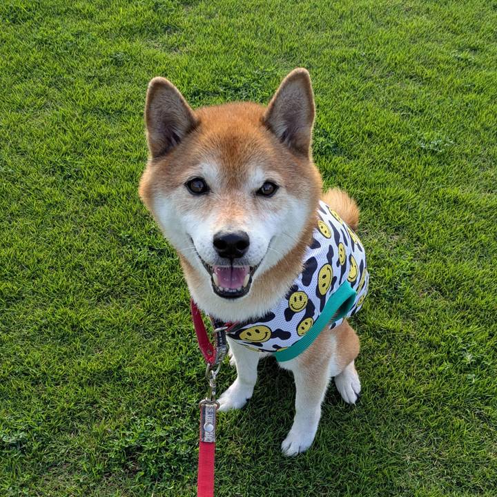 7b5bef0b 7ee5 47ac abc8 94c8343a23b8 1755333421193