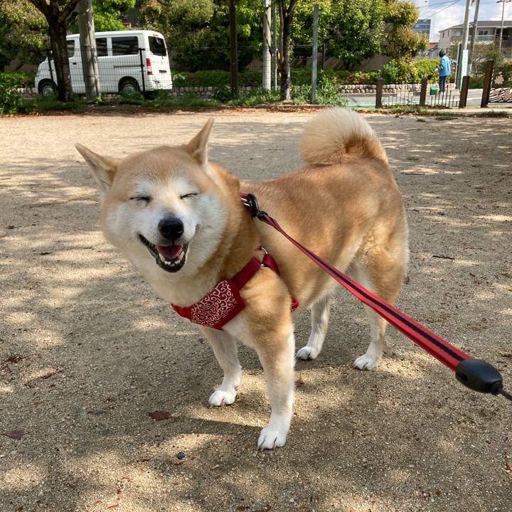 7b5c3e3a fd48 4d3b 8bd0 29aed2ae7929 1618452117357