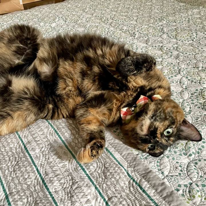 7b5c4c7a 81db 4807 9eb3 b55b9406d6b1 1753165109220