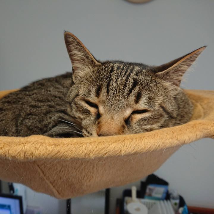 7b5c4f32 5d1a 4950 bd76 3cee6bd0c14c 1556761034784