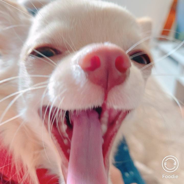 7b5c6c63 d70c 4b56 b326 f570f2c0c389 1606117210507