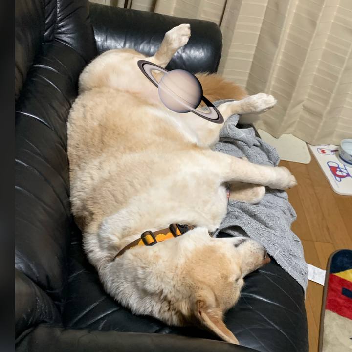 7b5c8c79 1d30 4a78 880c 30c4ddc50d1d 1585840688685