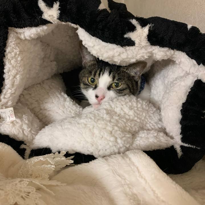 7b5c9bf9 93ed 4ad6 992c d329a04bdc85 1573380484790