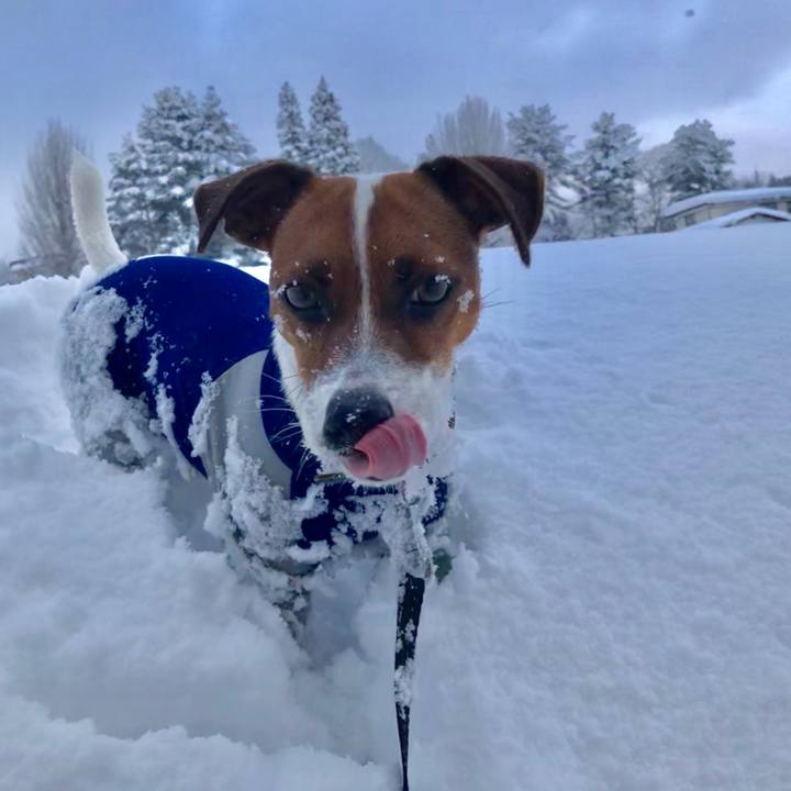 7b5cd4f6 a70d 47b8 b1a0 8d0c6b86ed6c 1548064564806