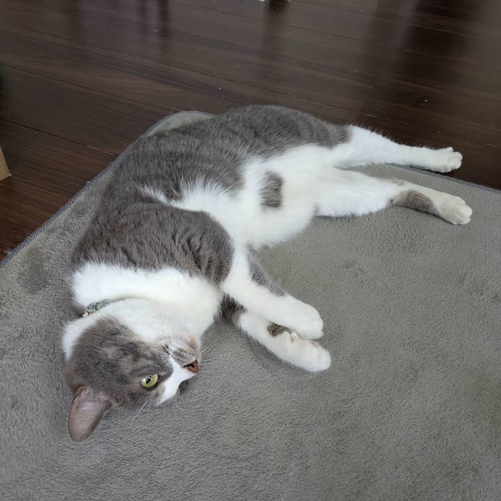 7b5cd52c 333d 4ea5 b530 05cf9dcff646 1747545636017