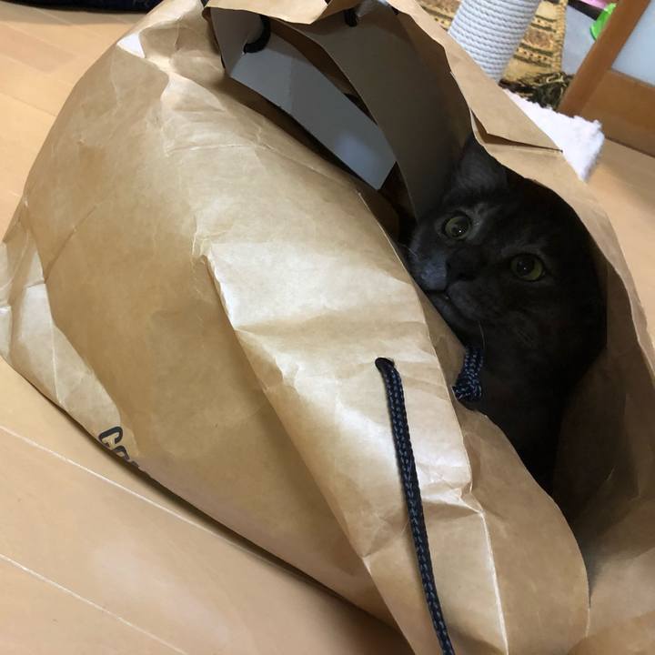 7b5d038c 850c 4272 b8cb 83cf4547e9e2 1593003873475