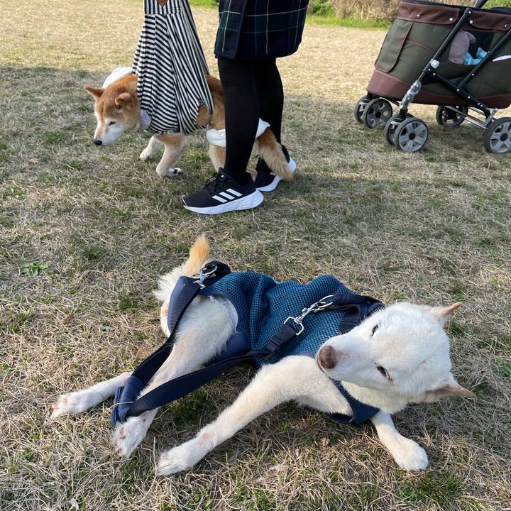 7b5d0cbb 5190 496e 85a1 6b74b06e37bd 1678713542618