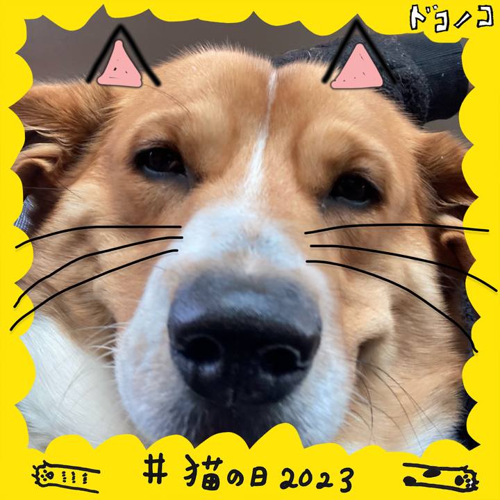 7b5d2660 7ab2 47f3 95e2 5c08e08a3918 1677026234982