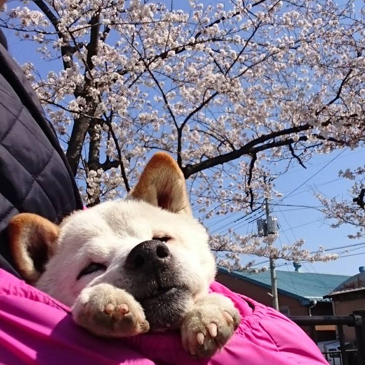 7b5d504b 6daa 4261 bd26 c63e92af42ac 1521944717812