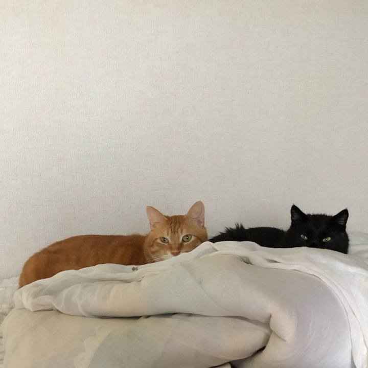 7b5d7aa5 b589 48cc a544 4736e1a4fd9b 1628559455840