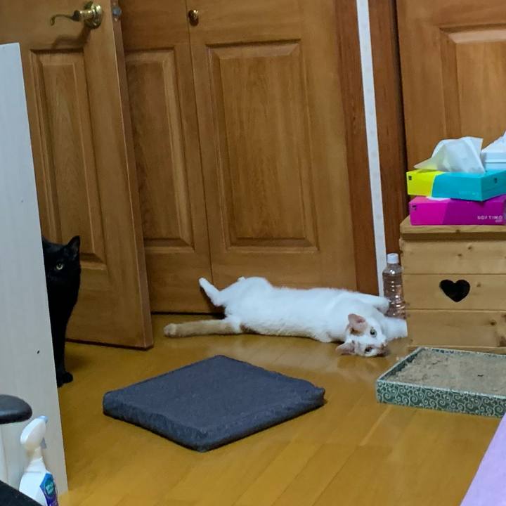 7b5da64a 4411 4a0e 827f 13b11ae86ae1 1625065698604