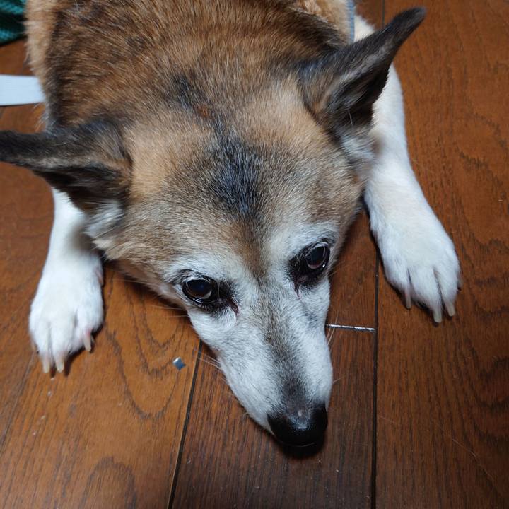 7b5da9b7 0457 40a0 9c12 c1506a628da4 1674826780004