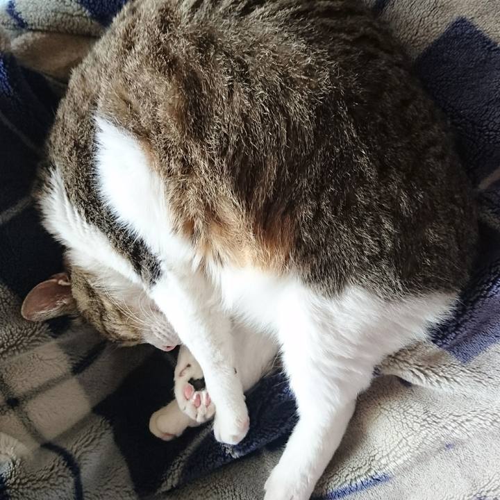 7b5dcb46 3726 4636 ab5b 26c1e4200643 1525649685142