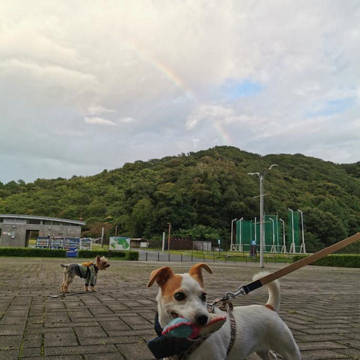 7b5e32dc 25a4 46d9 b544 51bf72f67cb2 1629288522115