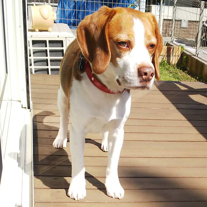 7b5e6e3b fae1 4f65 a96b 8807de169600 1618117810010