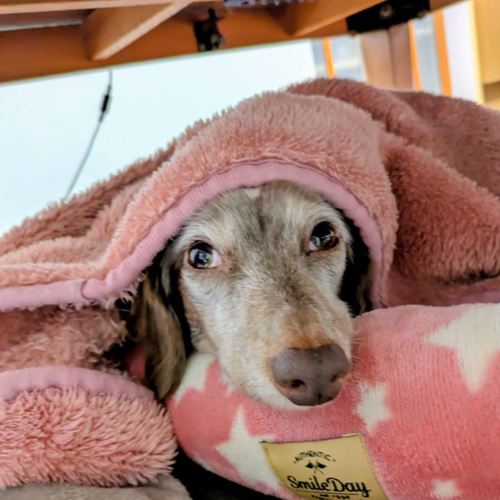 7b5ec0e3 13bb 4505 b2a2 29990aabac9c 1761993708200