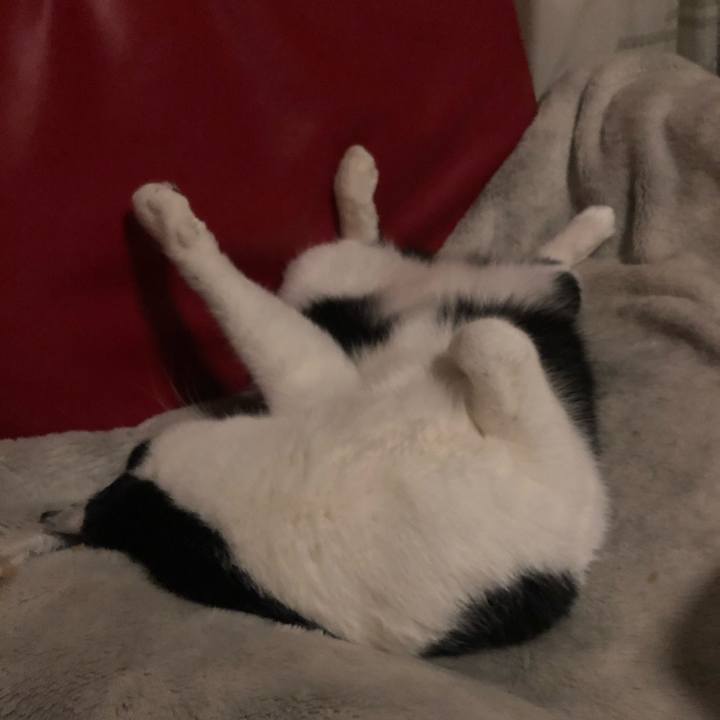 7b5f01a9 12f4 442b b2d9 71d5bf22b99f 1609435879028