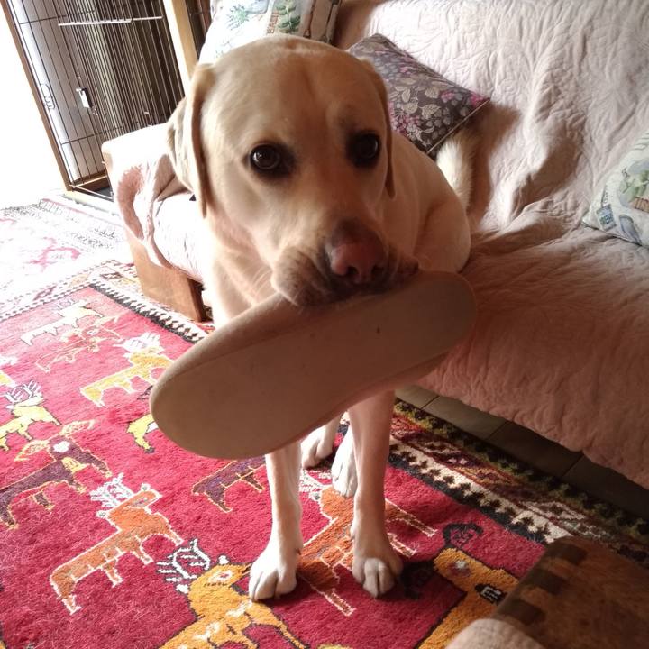 7b5f01ef 88e5 4aab bc53 b19cbac2c3ec 1555979793990