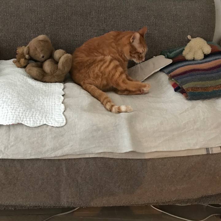 7b5f9b3f deda 43ff 9b82 81c5579f1469 1521612299361