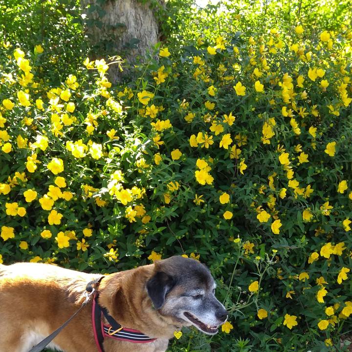 7b5fa393 c414 4bc4 9820 12ee136da468 1559174407367