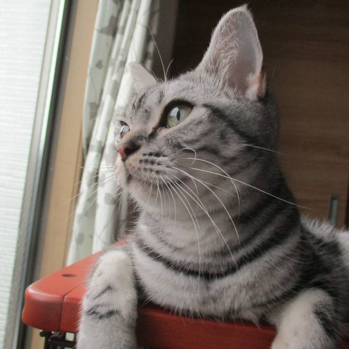 7b5fa54d 73d7 441f a5bd c3d225ec3494 1570445818272