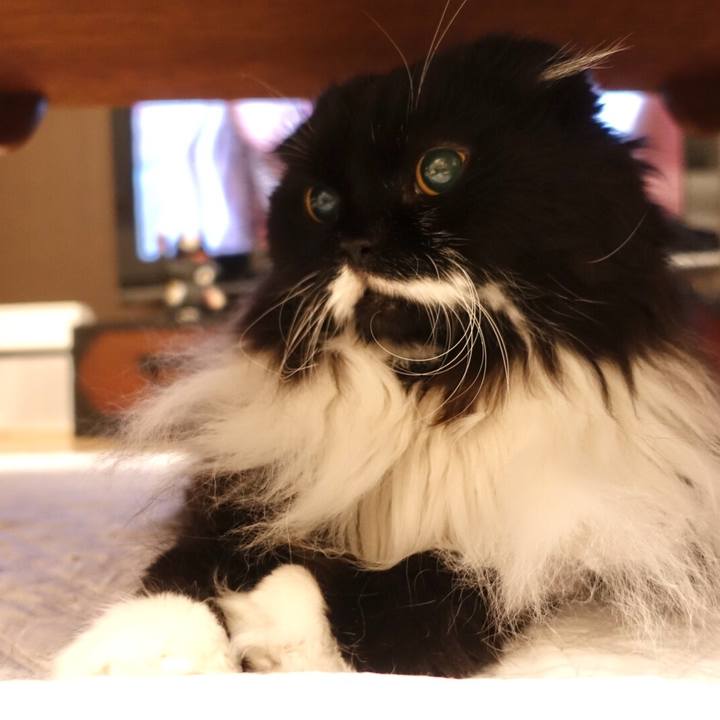 7b5fd013 7b75 4ac8 b9a8 42cc8edb7e90 1526951569893