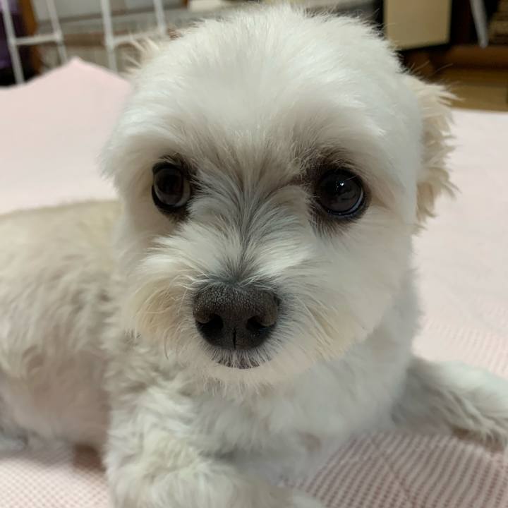 7b600b15 3ed5 4422 b013 10c832c6db90 1630840412177