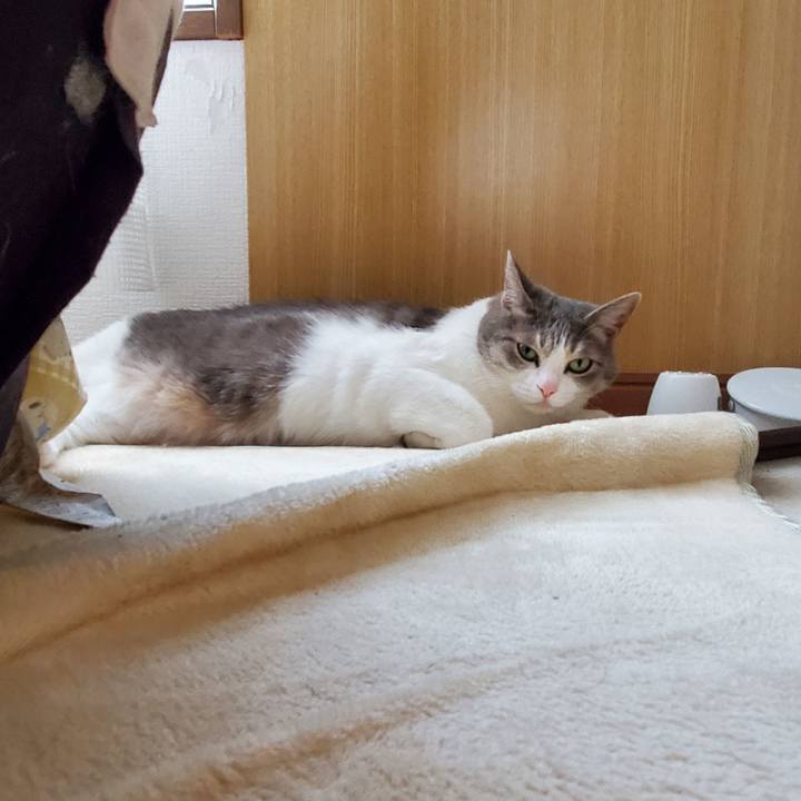 7b6014fc c78c 4a3f 916e 82fab6174c46 1705298291162