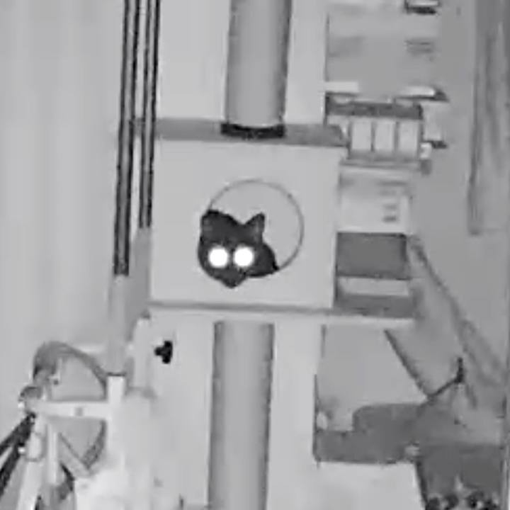 7b6026f1 9a5b 48bb 8312 23ca0bbbe260 1536926433589