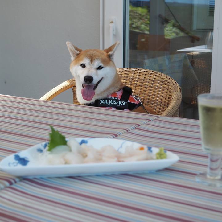 7b606d56 2919 46fa 98aa f3bfd557460a 1597218638517