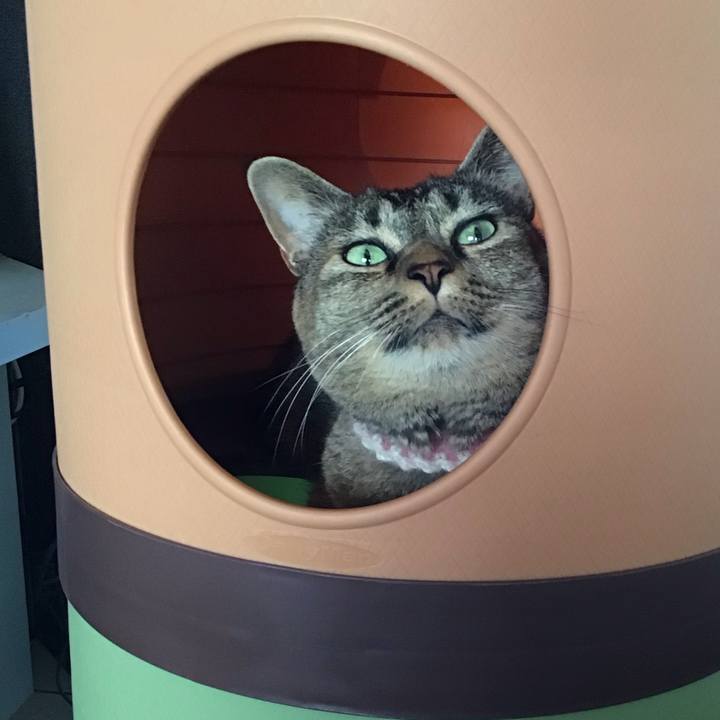 7b608263 cf82 4232 bf29 90035ec3e6fa 1692447628937