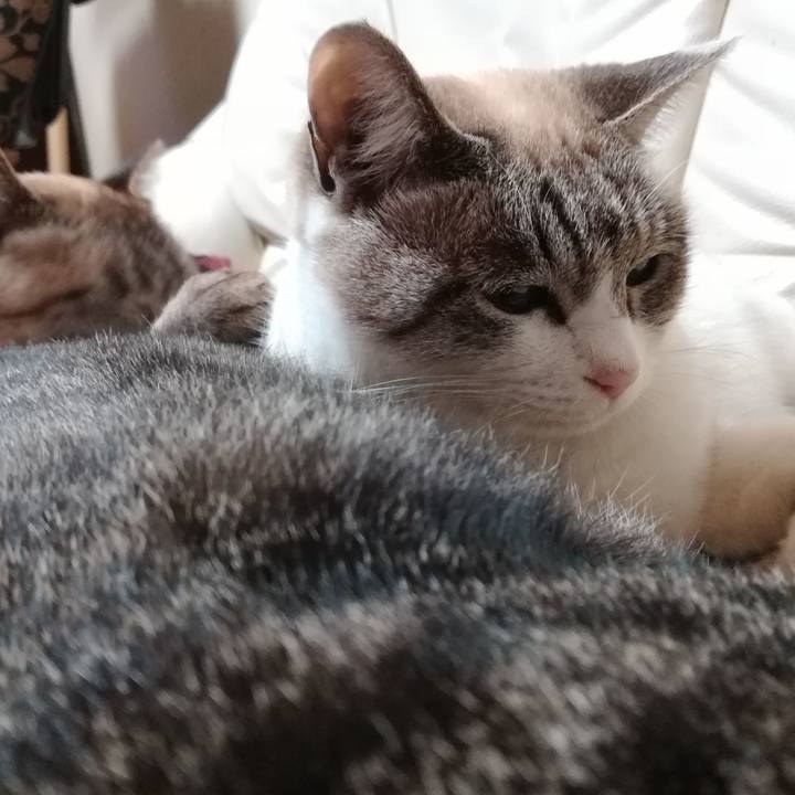 7b608a10 4e81 4aa7 9b91 88196a4c397c 1577534987798