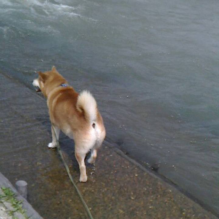 7b60a194 5714 4e90 8042 fdf7101205a5 1553942963035