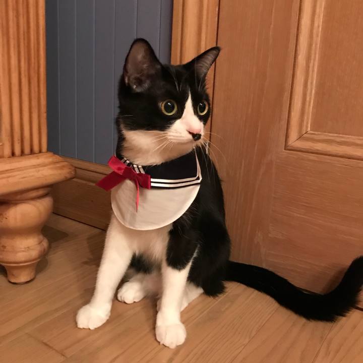 7b60b180 be01 4862 ad24 825e8f8a64aa 1526006137037