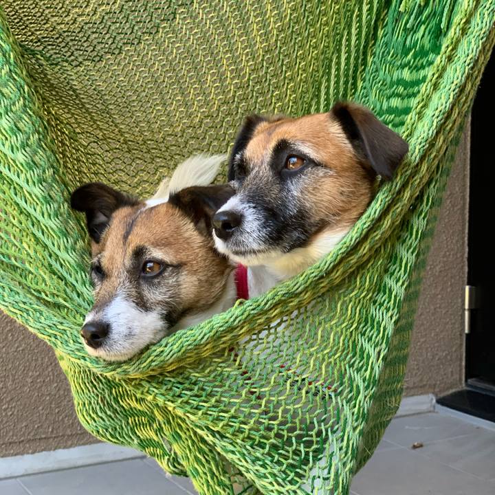 7b60d887 3ab5 465c 8fec 9faa4bb4732b 1590824816690