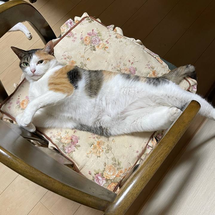 7b60ea90 9545 4f36 98d2 1e89bec6c692 1627056219526