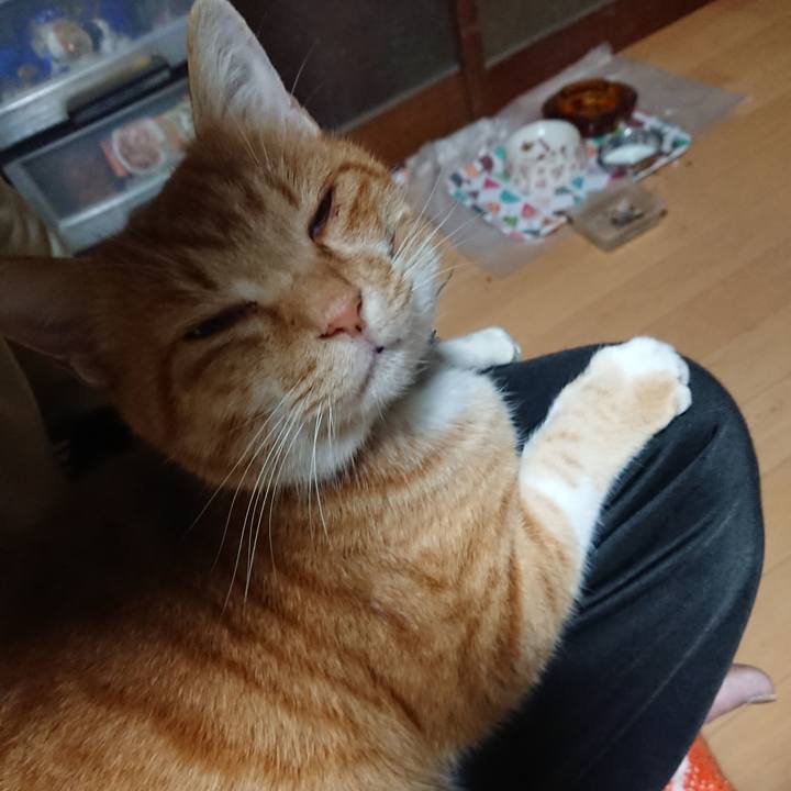 7b60ef51 a17f 4795 93f3 9ba7c538789c 1604693921006