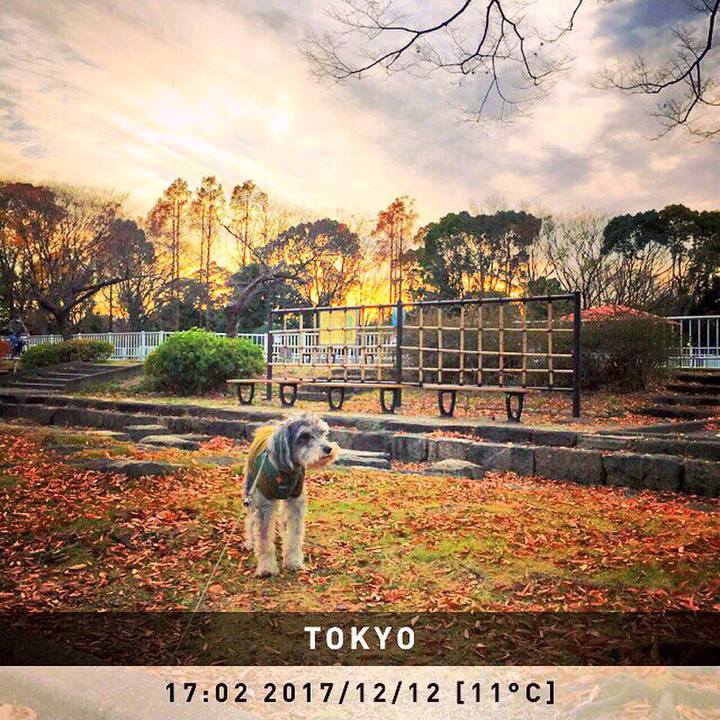 7b610154 d955 4281 a6c2 fa91c1b6a82f 1513066196577