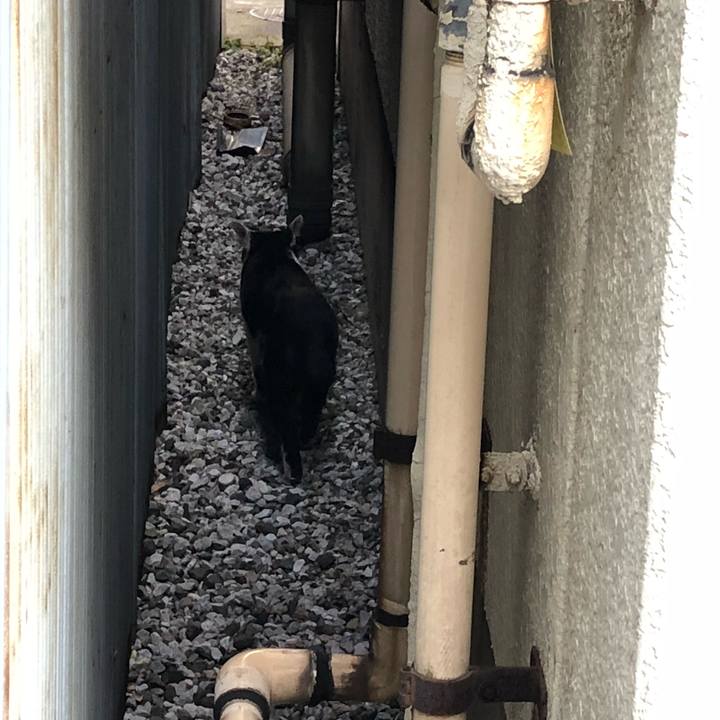 7b613def 65d9 4f9f bd8a 53eb127b7055 1518190710411