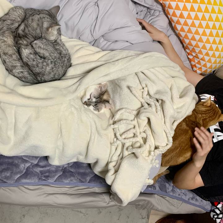 7b613fd7 5997 4479 b520 40feca849840 1615900304627