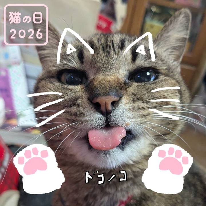 7b615973 bdd8 42b8 8cb6 6ce09a444429 1771744692912