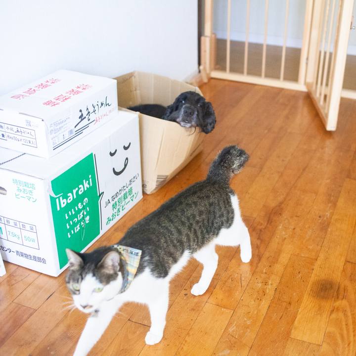 7b616ae5 6627 4413 afe6 757174b3bc9c 1569463555835