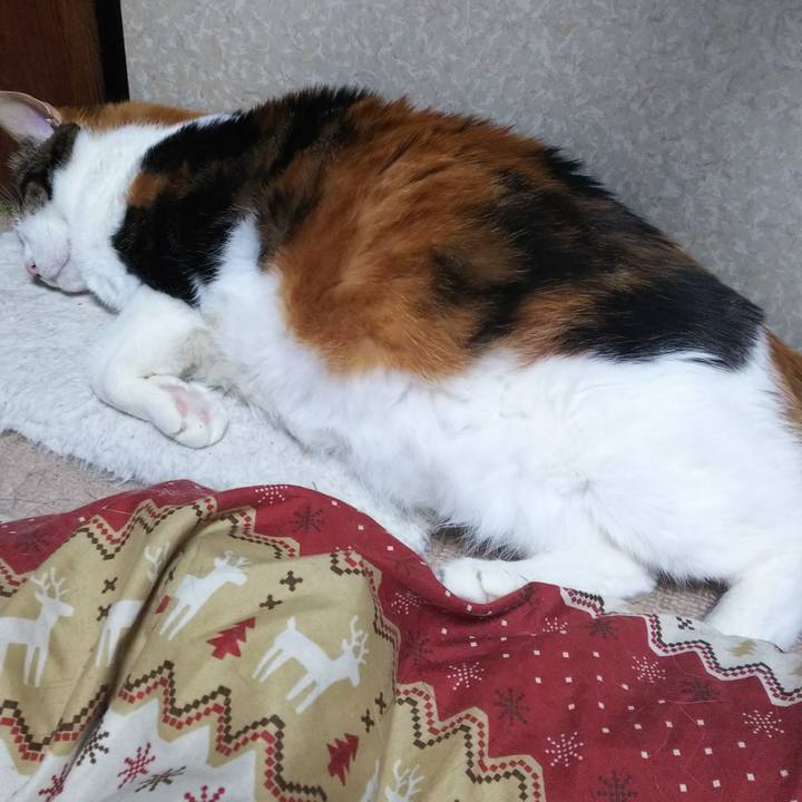 7b616de0 baee 4e29 9631 65da1bd6dff6 1553611099117