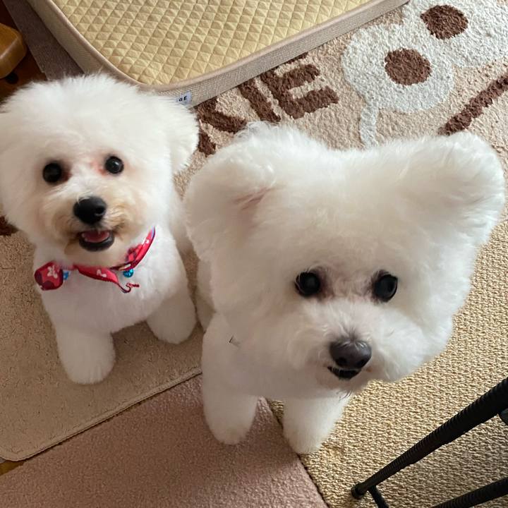 7b618457 8341 480c ae09 3cff7799b661 1749010834105