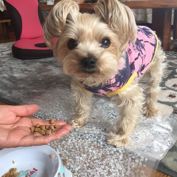 7b61b30e 4785 4658 82d2 6ef7c12965fc 1522981717667