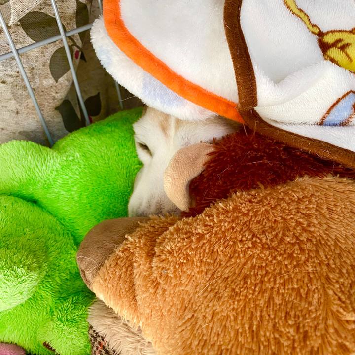 7b61ce26 4c3d 4f76 b828 147cce9e3e8e 1586836209927